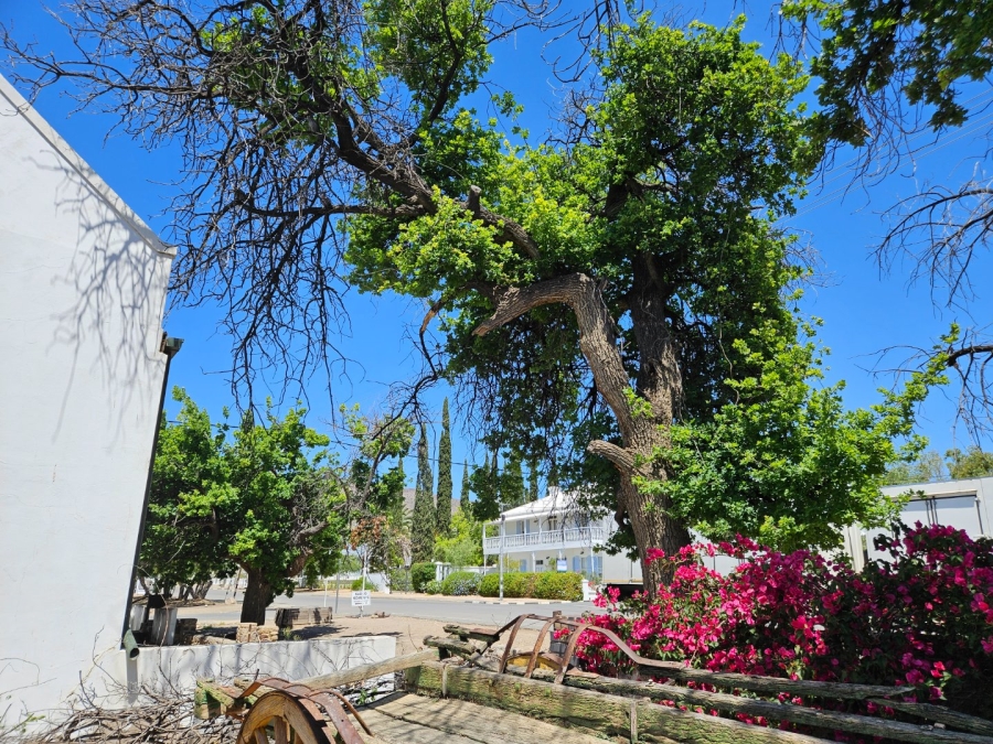 4 Bedroom Property for Sale in Prince Albert Western Cape